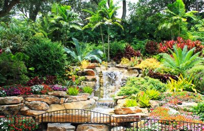Waterfall Landscaping