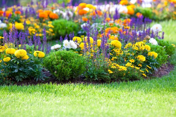 Flower Bed Maintenance in Ballwin