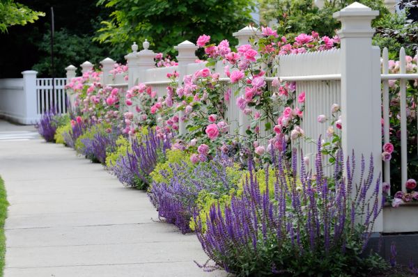 Garden Handyman Service in Ballwin
