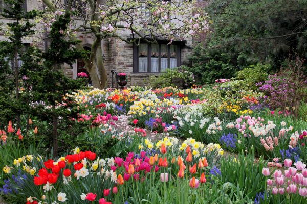 Garden Maintenance Service in Ballwin