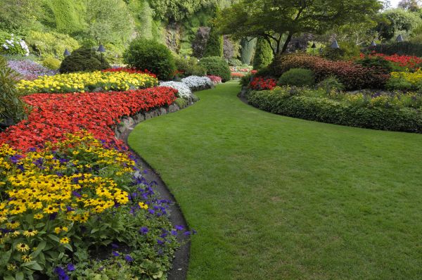 Landscaping Maintenance in Ballwin