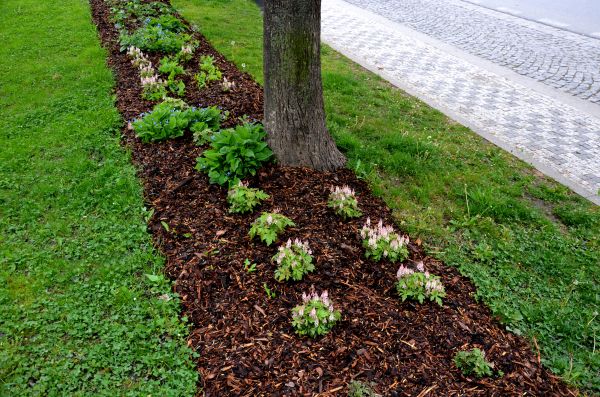 Mulch Replacement Service in Ballwin