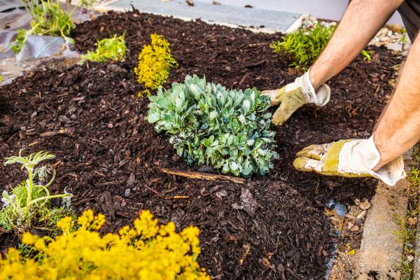Weeding And Mulching in Ballwin
