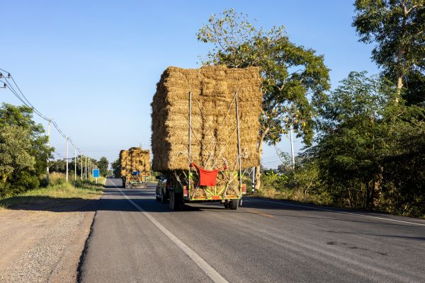 Pine Straw Delivery in Ballwin