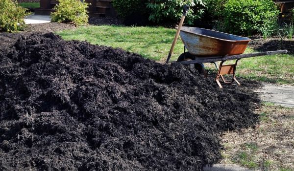 Black Mulch Delivery in Ballwin