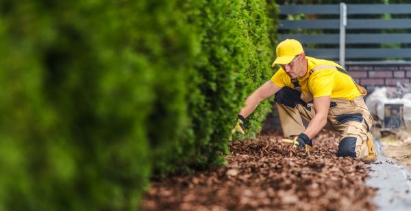 Cypress Mulch Installation in Ballwin