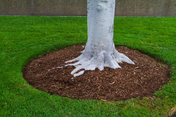 Brown Mulch Installation in Ballwin