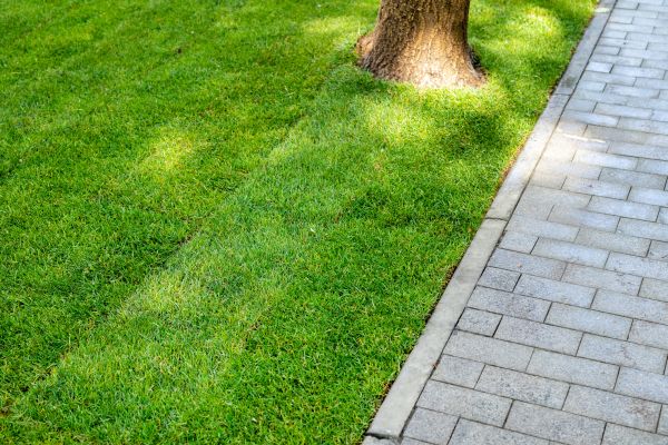 Border Stone Installation in Ballwin