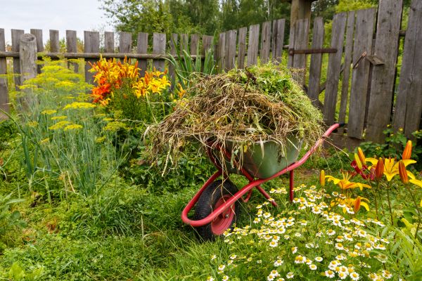 Garden Cleanup Service in Ballwin