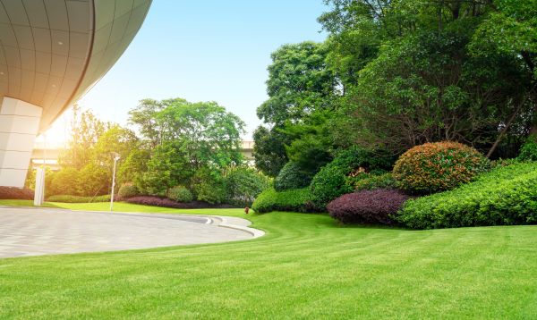 Business Landscape Design in Ballwin