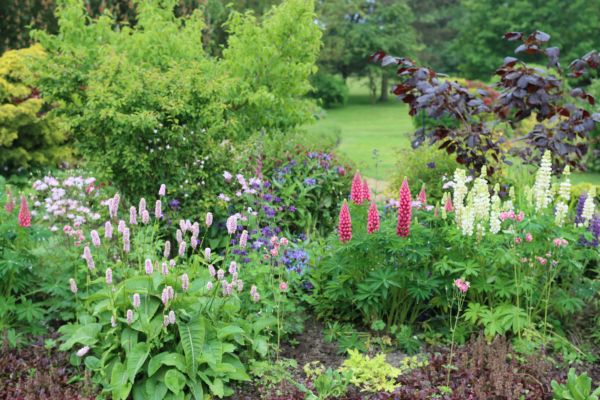 Flower Bed Planting in Ballwin