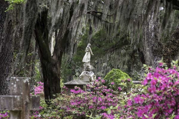 Cemetery Landscaping in Ballwin