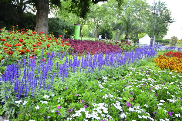 Perennials Planting in Ballwin