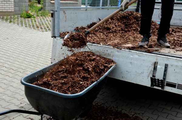 Cypress Mulch Delivery in Ballwin