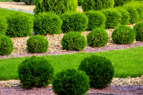 Bush Replacement in Ballwin
