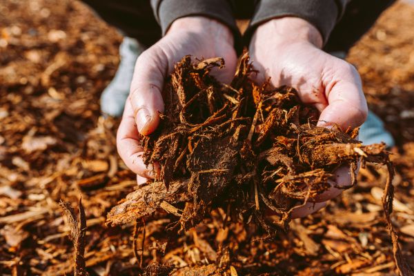 Bark Chips Delivery in Ballwin