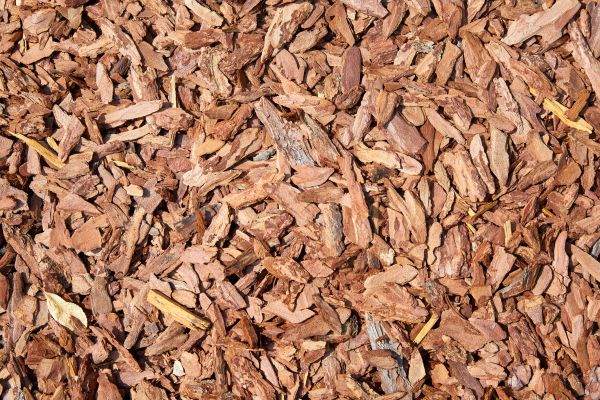 Pine Mulch Delivery in Ballwin