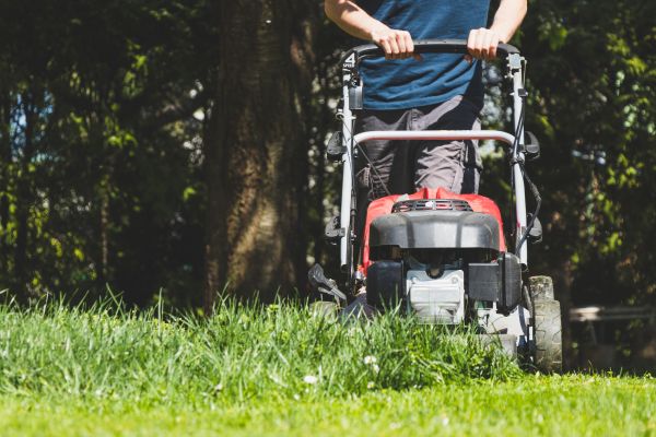 Garden Trimming Service in Ballwin