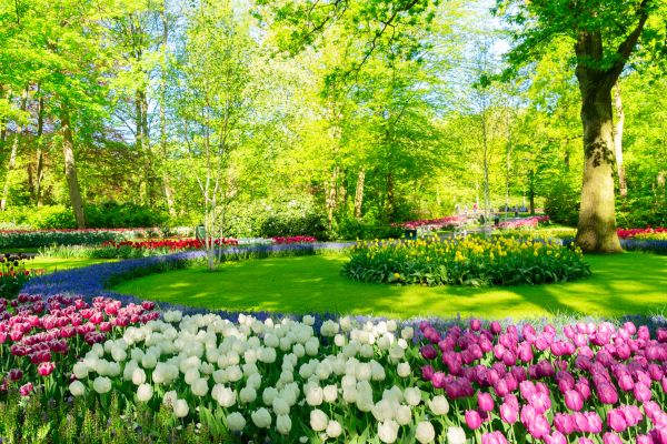 Flower Landscaping in Ballwin