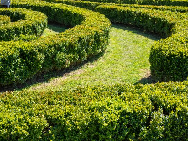 Bush Landscaping in Ballwin