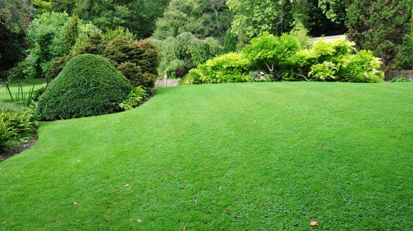 Commercial Landscape Design in Ballwin