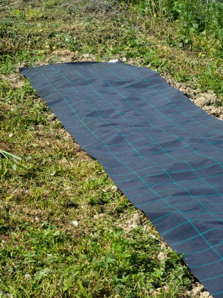Weed Suppressant Installation in Ballwin