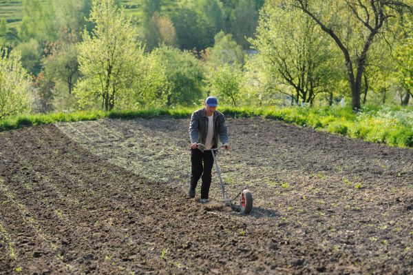 Plant Bed Weeding in Ballwin