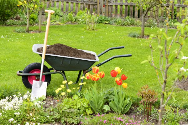 Spring Yard Renovation in Ballwin