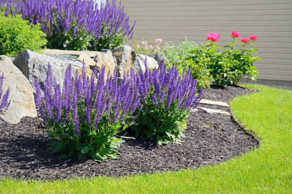 Landscape Planting Service in Ballwin