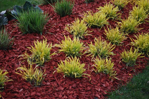 Red Mulch Installation in Ballwin