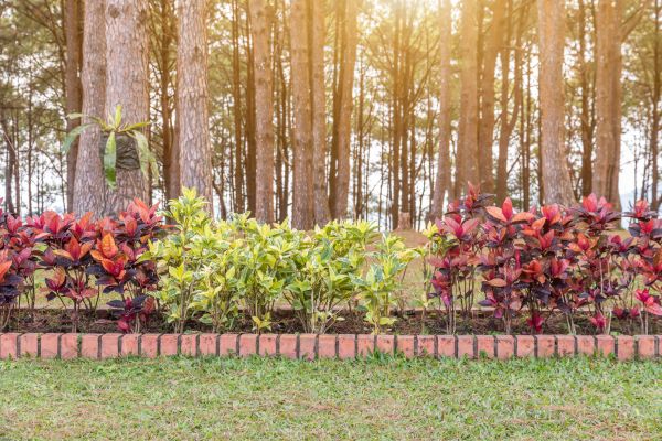 Small Garden Landscaping in Ballwin