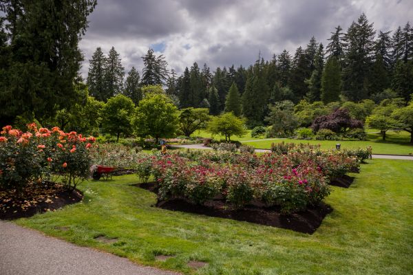 Flower Garden Landscaping in Ballwin