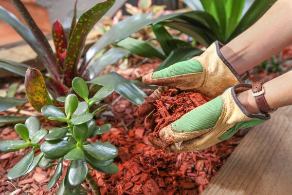 Cedar Mulch Installation in Ballwin